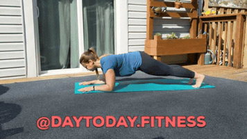 Planks GIF