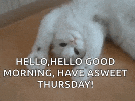 Happy Thursday Shivering Snowrocks Gifs - Find & Share On Giphy