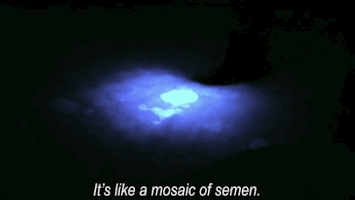 Gordon Ramsay GIF