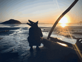 Trippy GIF