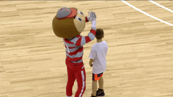 Clapping Osu GIF by Ohio State Athletics