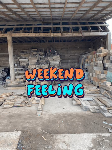 Expert House Movers GIF