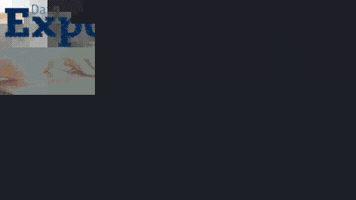 DataExport data export GIF