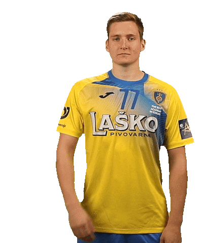 RK CELJE Sticker