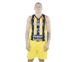 Basketball Cubuklu Sticker by Fenerbahçe Öznur Kablo