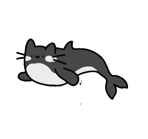 Featured image of post Killer Whale Cartoon Gif Animation gif gifanimated sunset giftforafriend