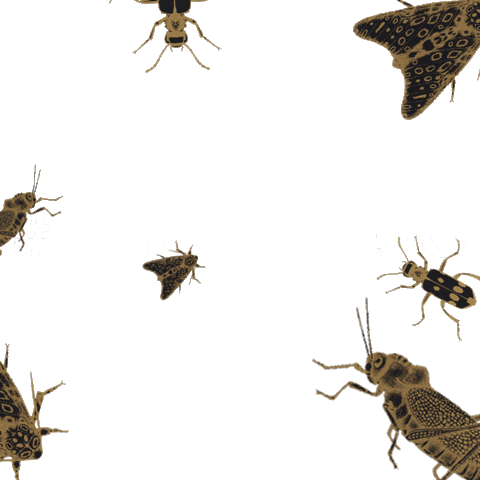 Eliane Revestimentos Sticker