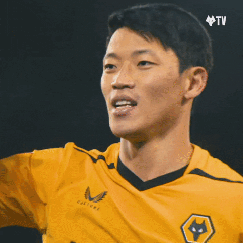 Get In South Korea GIF by Wolves