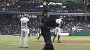 Dance Baseball GIF by Club Tomateros