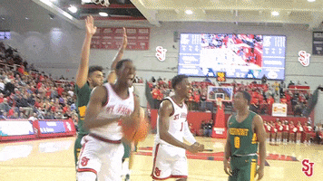 St Johns Scream GIF by St. John's Red Storm