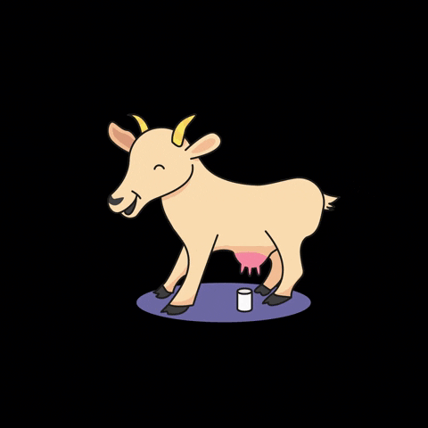 improvisiertaberlecker happy goat milk ziege GIF