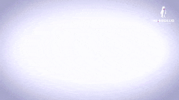 Mr Riegillio GIF