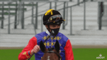 Horse Racing Yes GIF by Ascot Racecourse
