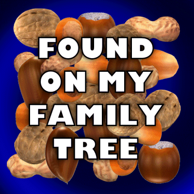 Family Nuts GIF