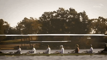 RowingAustralia GIF