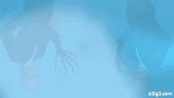 Click Here GIF