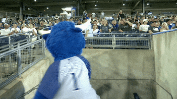 Los Angeles Dodgers Baseball GIF by Tulsa Drillers