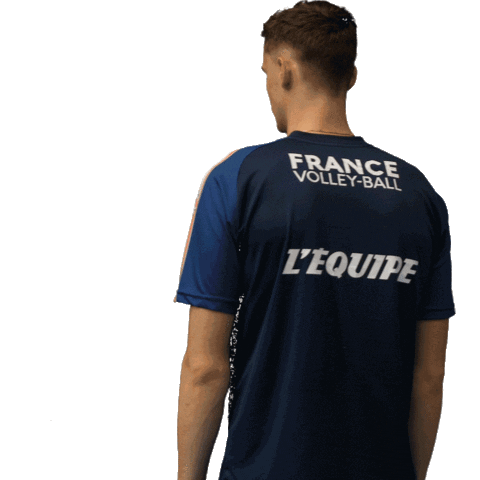 Jean Patry Volleyball Sticker by EuroVolley2019Fr