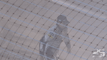 Jimmie Johnson Win GIF by Homestead-Miami Speedway