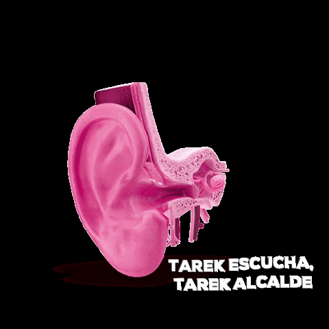 Pink Escuchar GIF by Tarek Giacaman