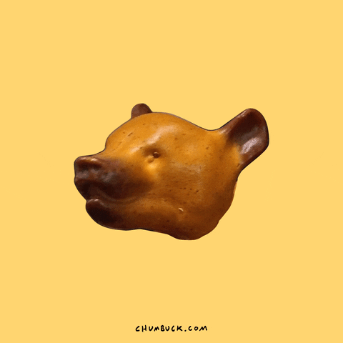 Bear GIF by Chumbuck