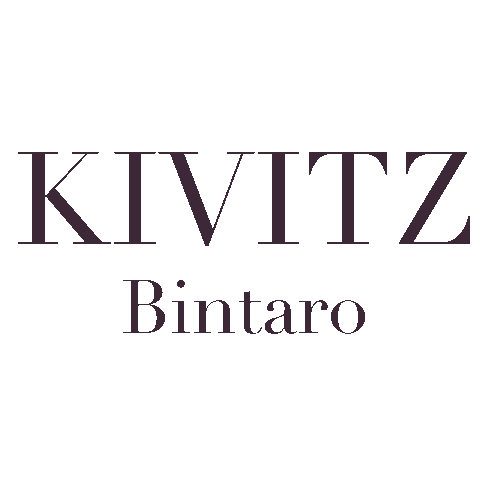 KIVITZ store Sticker