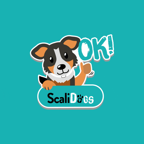 Dog Ok GIF by Scalidogs