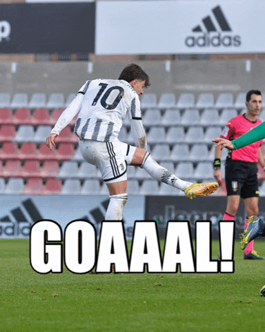 Celebration Goal GIF by JuventusFC