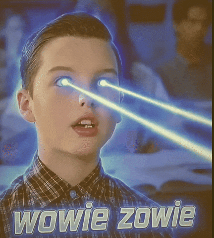Sheldon Wowie Zowie GIF