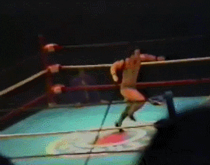 Wrestling GIF