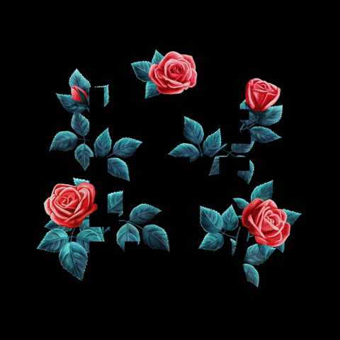 Roses GIF