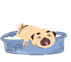 Sleepy Black Forest Sticker by Mittlerer Schwarzwald