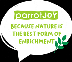 parrotJOY GIF