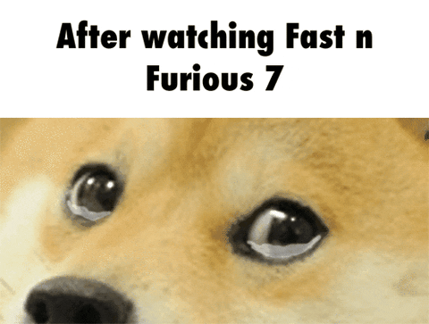 furious 7