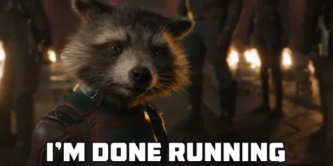 Guardians Of The Galaxy Rocket GIF