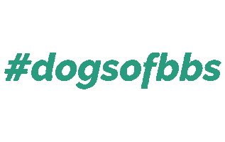 Dogsofbbs Sticker by BB's Grooming & Doggy Daycare