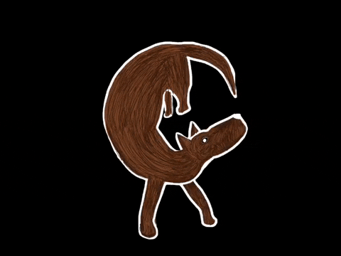 giphy.gif?cid=ecf05e47ghu4ffb1f3kdta4mrygkccxkuzfumuc4xix1101s&rid=giphy.gif&ct=g