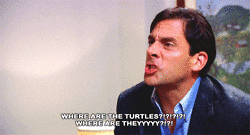 steve carell GIF