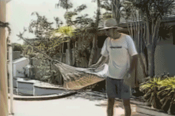 fail palm tree GIF