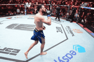 Fight Ufc GIF by promaslist