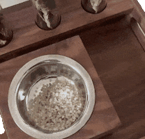 Smell Scent GIF by OUDCRÀFT