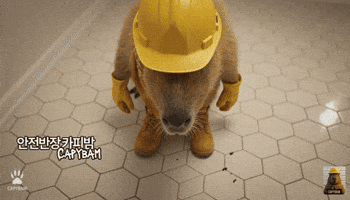 Suspicious Safety GIF