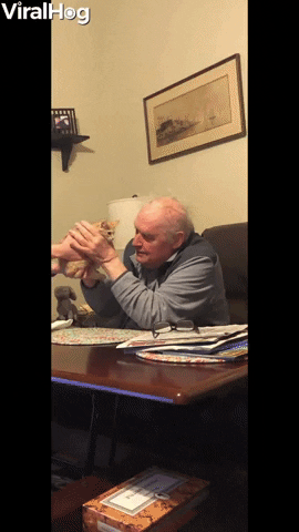 Grandfather-gets-a-new-furry-friend GIFs - Get the best GIF on GIPHY