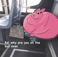 Bel GIF