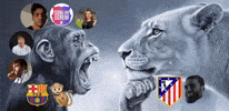 Monkey Barcelona GIF