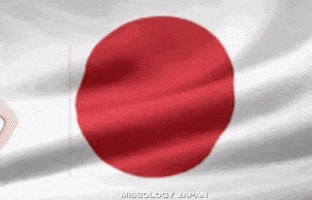 Miss Peace International GIF