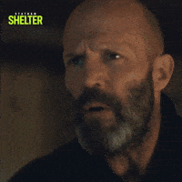 Looking I See You GIF by Black Bear Pics