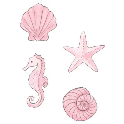 Vacation Ocean Sticker by Hamilton Princess, Bermuda, A Fairmont Managed Hotel