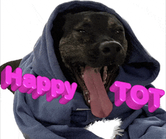 Happy GIF