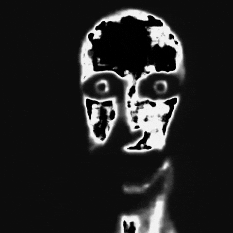 Pe Chat GIF